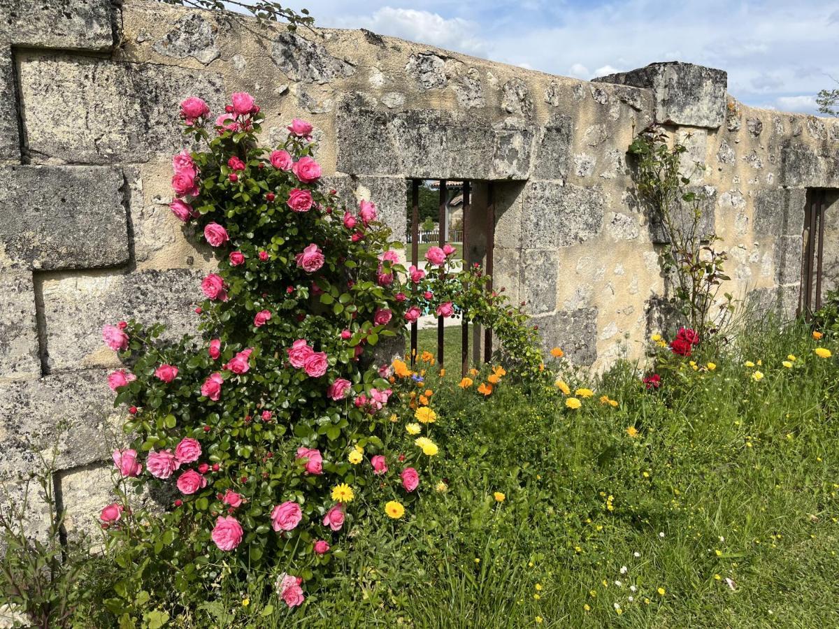 Chateau Canteloup Bed and Breakfast Saint-Caprais-de-Bordeaux Exteriör bild